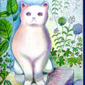 White Cat.jpg